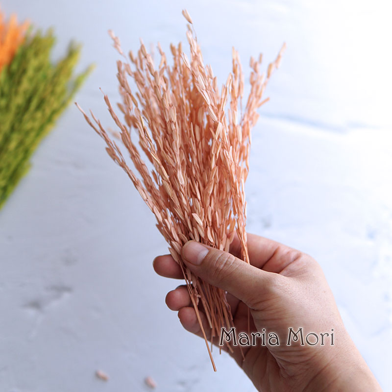 Dried Flower Bulk - 5 جرام/Broomcorn مصبوغ الزهور الطبيعية المجففة