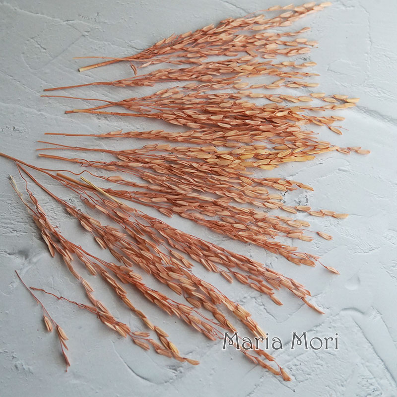 5 جرام/Broomcorn مصبوغ الزهور  - مراجعة Dried Flower Bulk وسعره