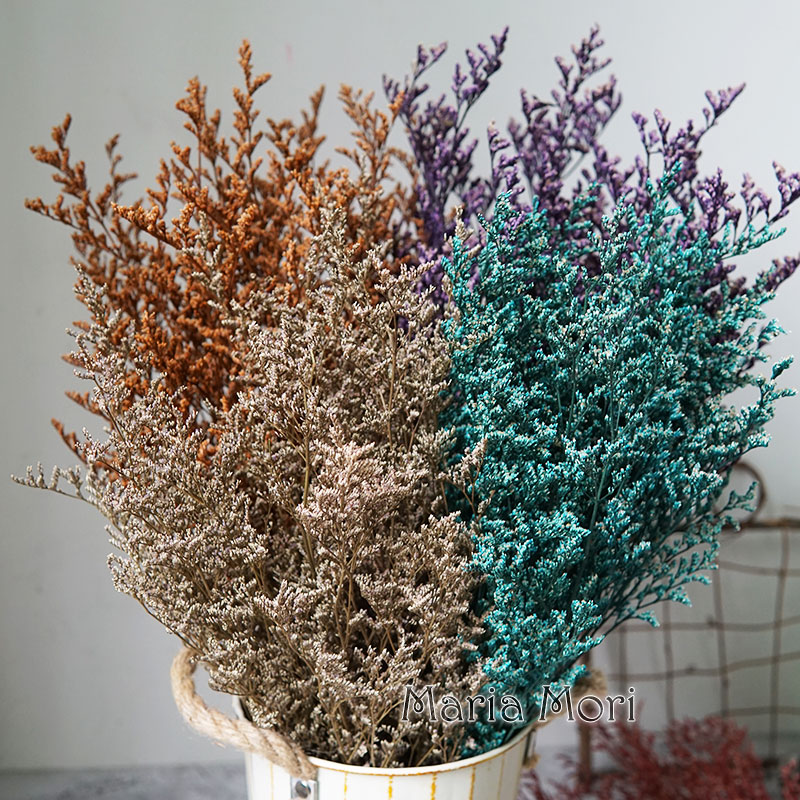 70 جرام/عشب الحب المحفوظ لعيد  - مراجعة Dried Flower Bulk وسعره